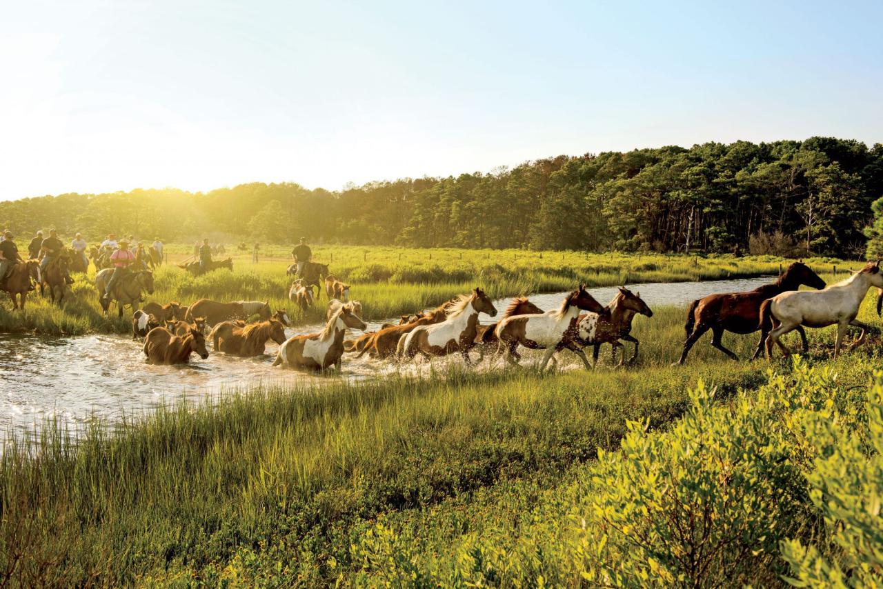 Affordable family getaway spots