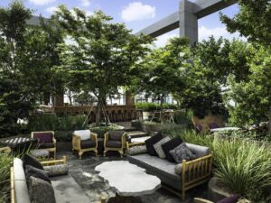 Best rooftop bars